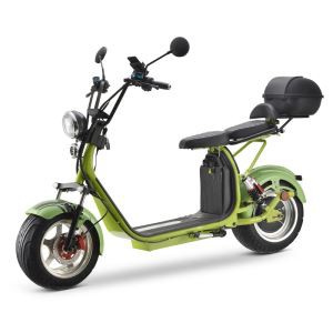 3000 W COC Doub Batri Citycoco